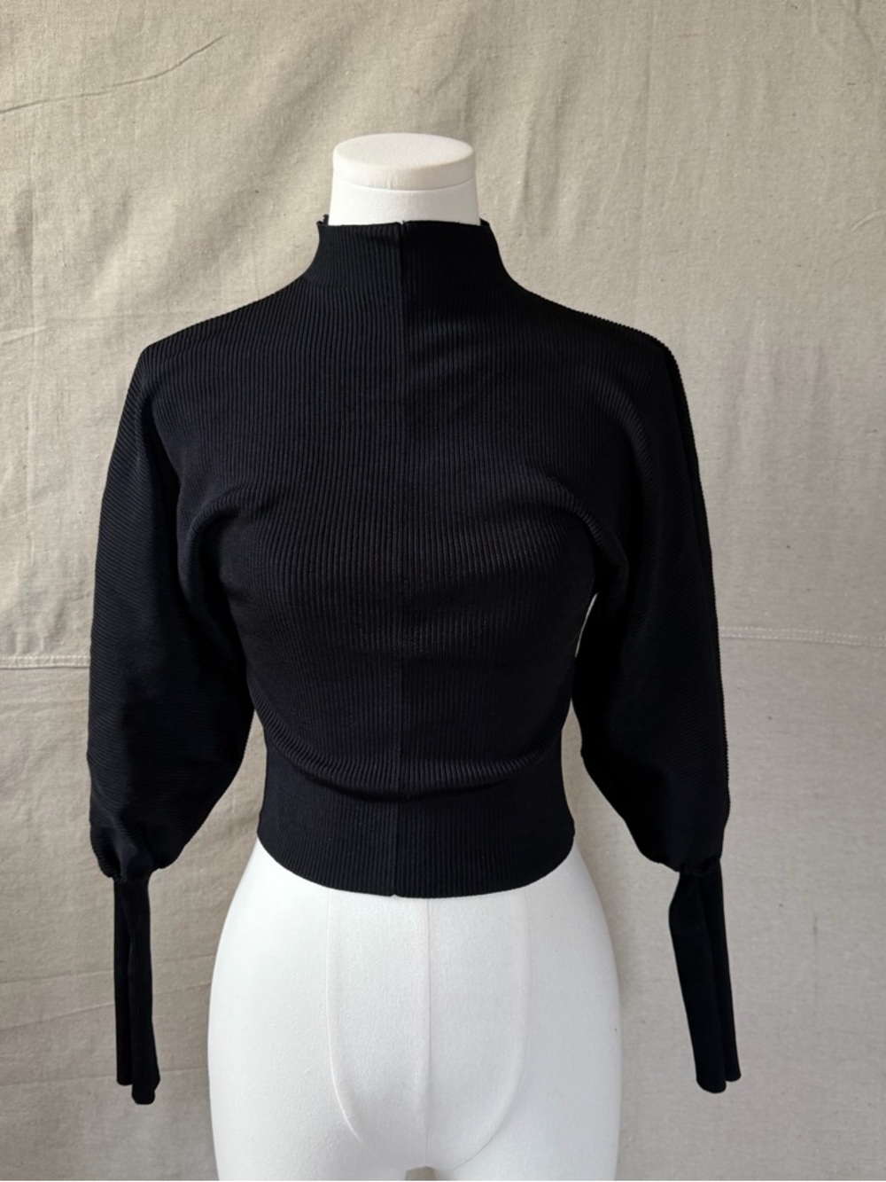 Zara Black Ribbed Mock Neck Long Sleeve Top